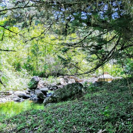 Cabana Mountain View Эредия Экстерьер фото